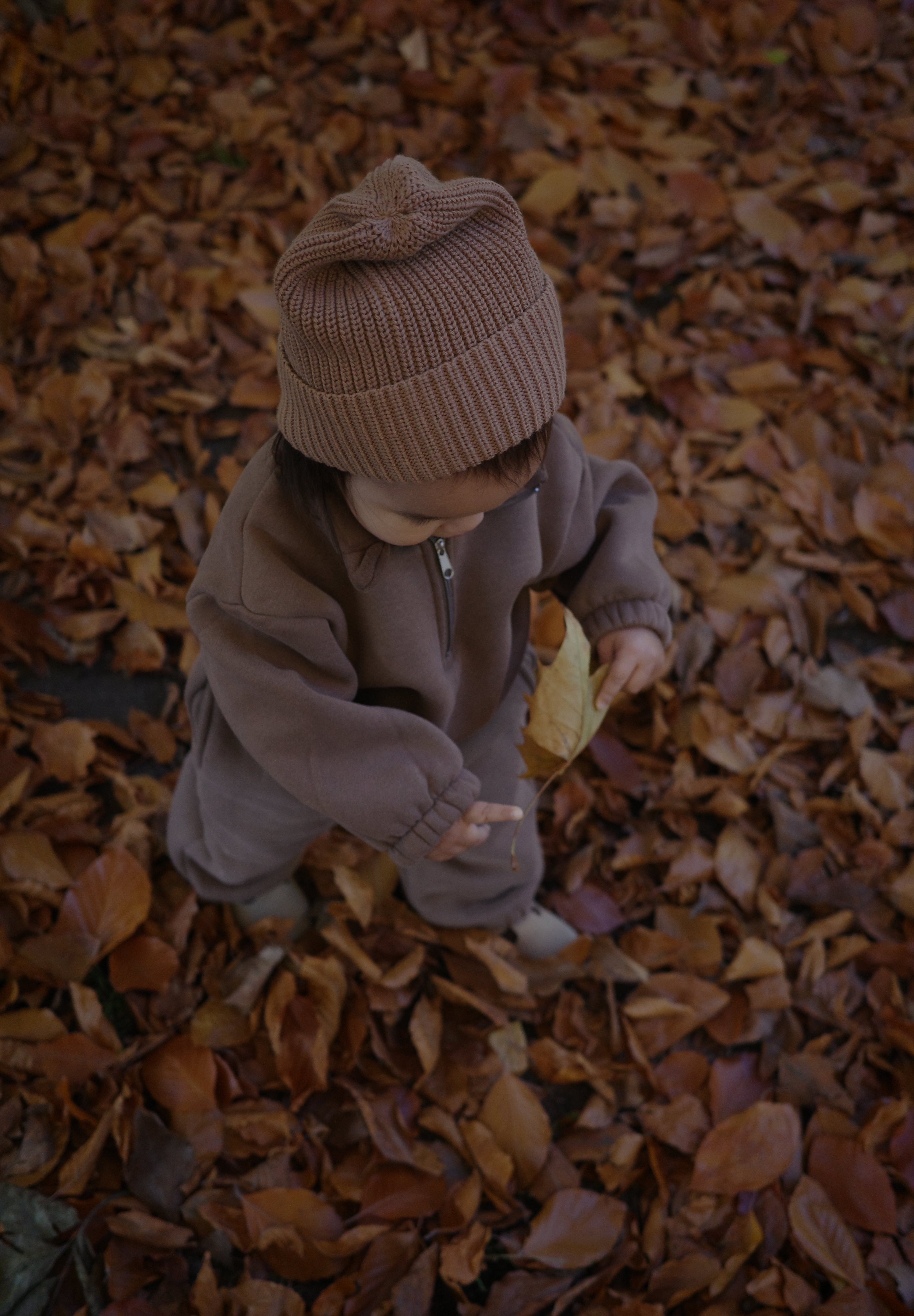 Survêtement polaire - Oatfield