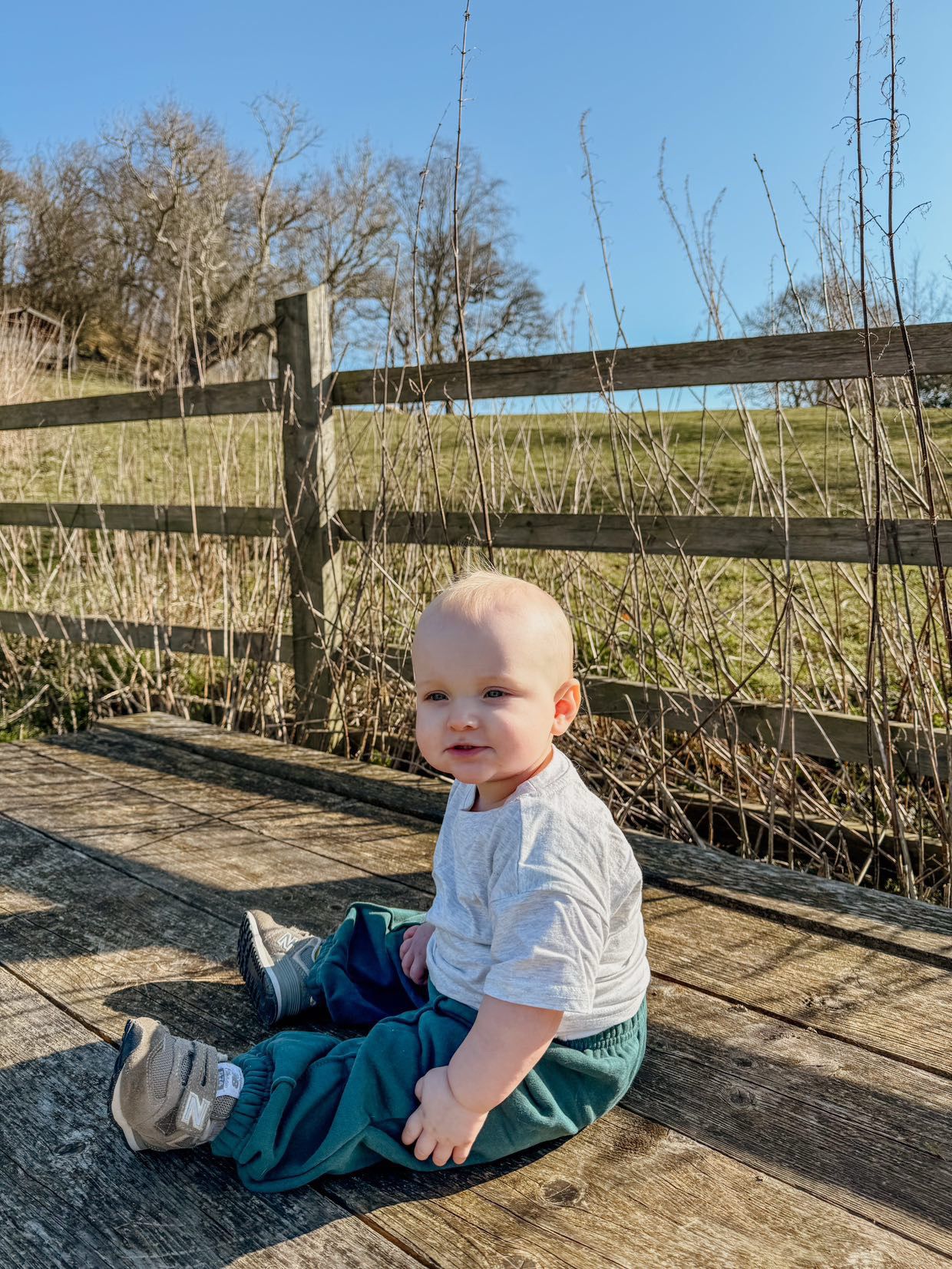 T-shirt basique en coton bio - Gris clair