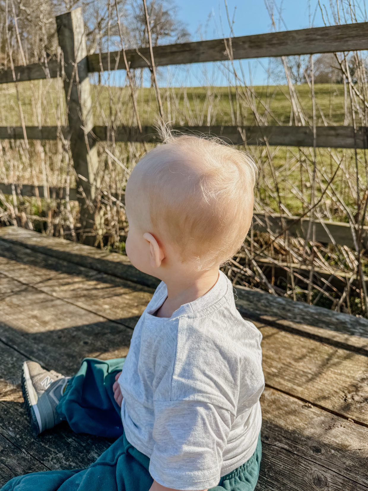 T-shirt basique en coton bio - Gris clair