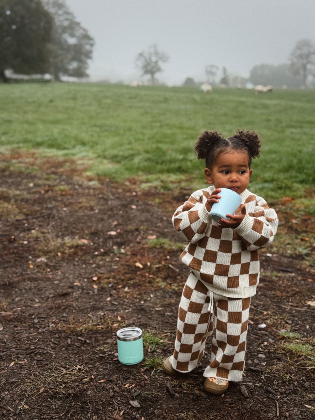 The Check Set  - Mocha